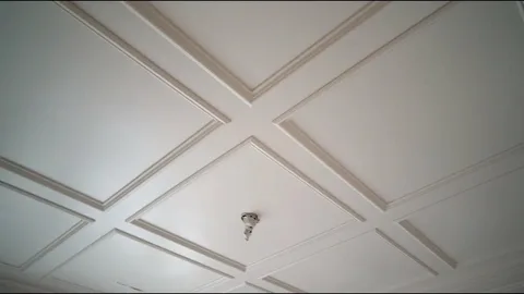 Decorative Ceiling Restoration